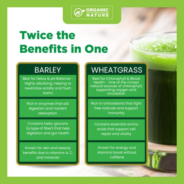 PURE BARLEY & WHEATGRASS POWDER - Image 2